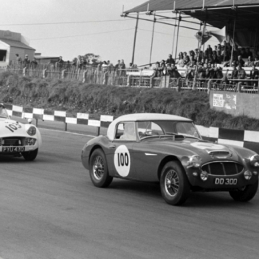 GT Race Brands Hatch 1960 : JIm au volant de l'Austin Healey 3000 
de l'Essex Racing Team
© Georges Phillips